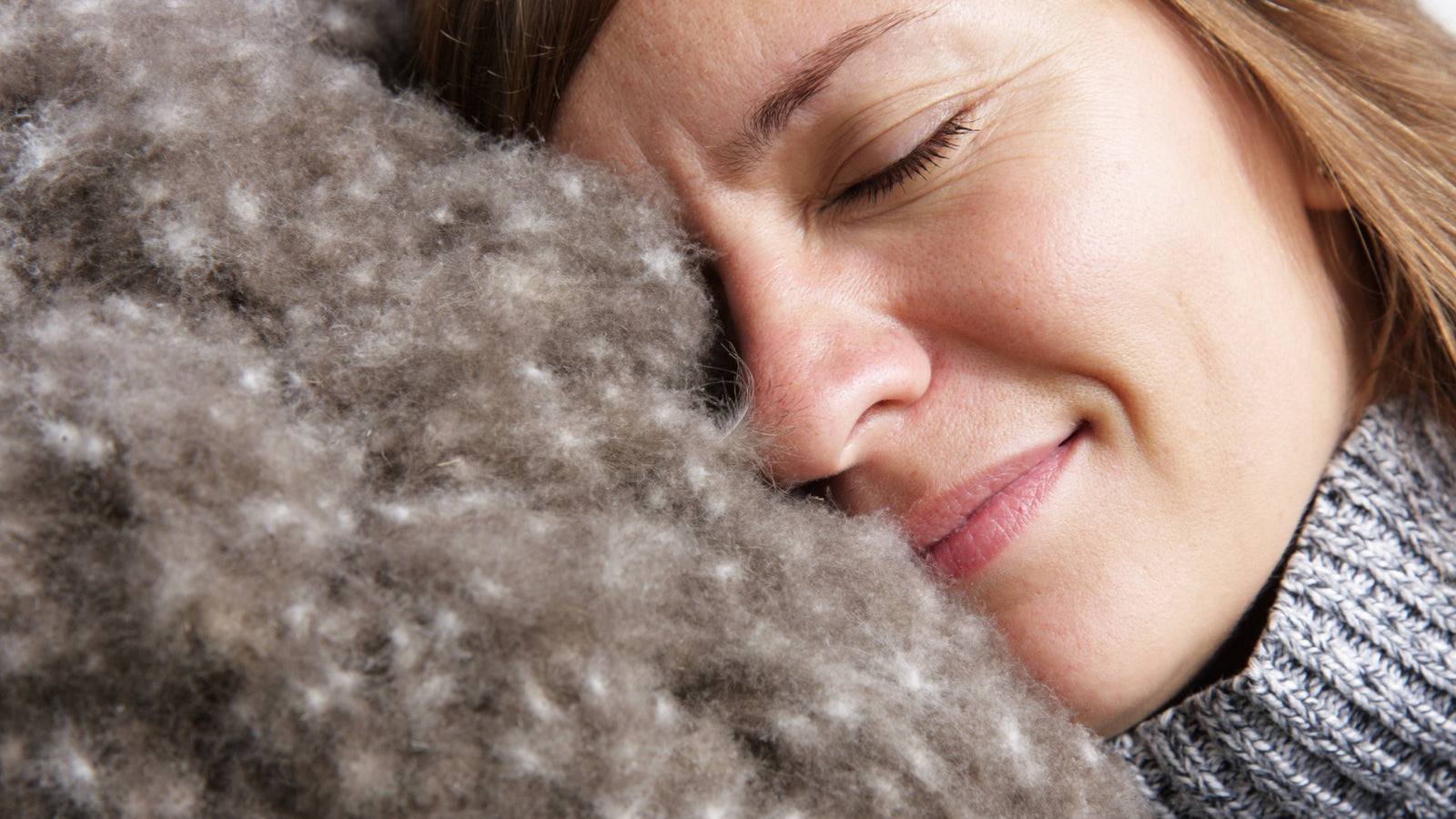 What is Eiderdown? What Makes it a Special and Rare Down?