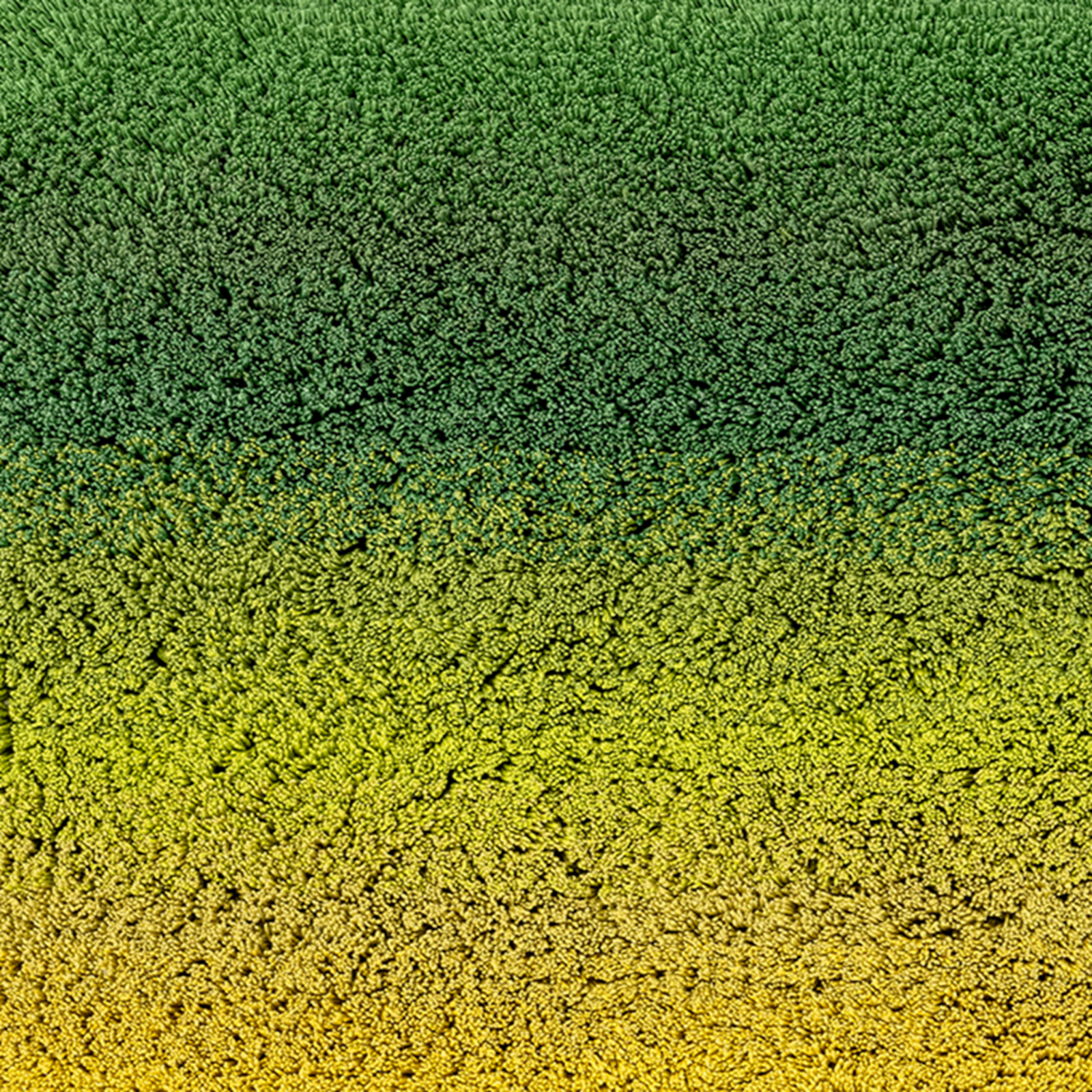 Silo Image of Abyss Habidecor Aurore Bath Rugs in Color Forest (205)