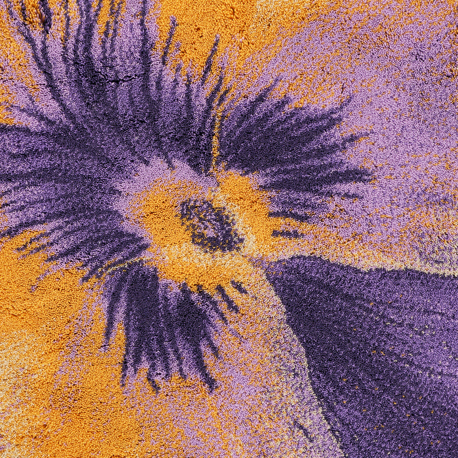 A Pansy...