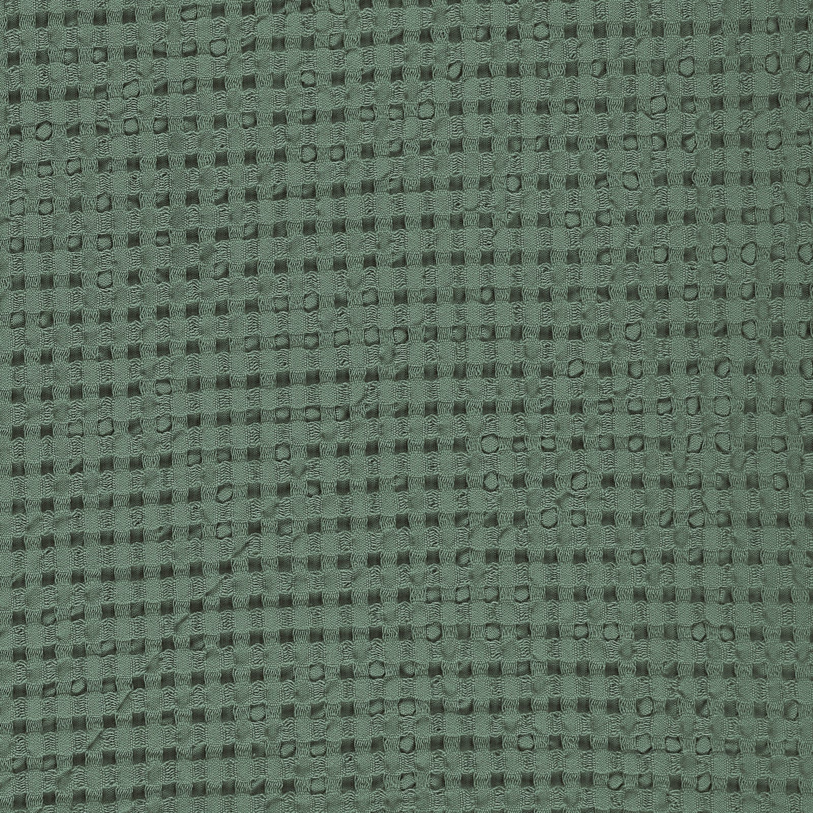 Image of Abyss Pousada Case Accessory in Evergreen Color