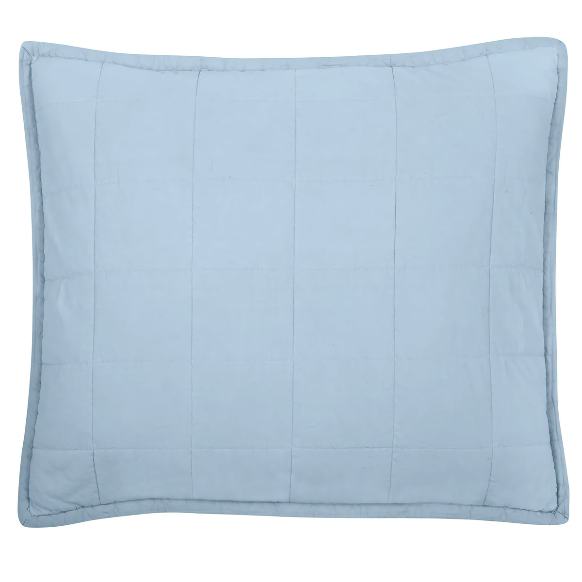 Ann Gish Cotton Canvas Pillow in Powder Blue color