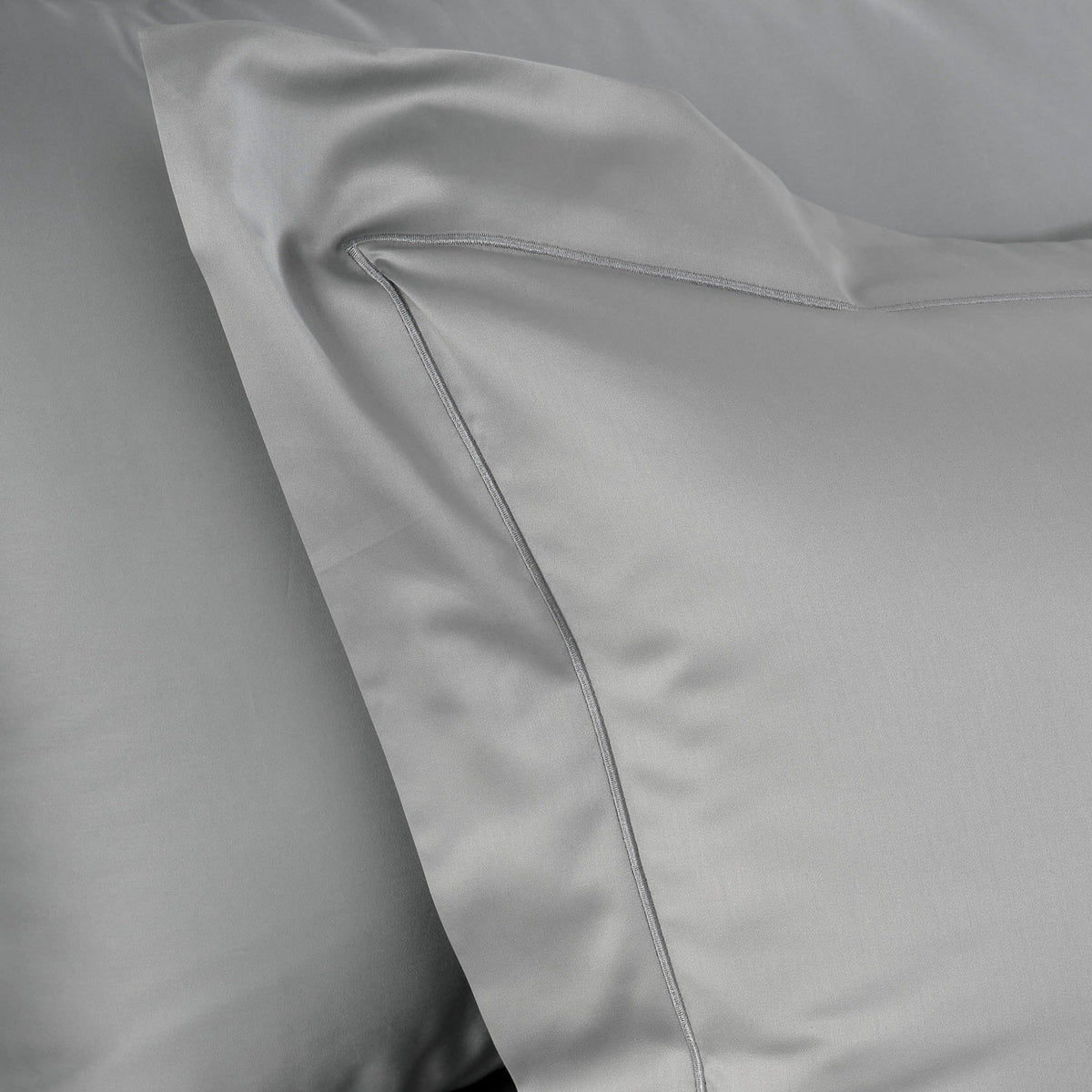 Clear Image of Celso de Lemos Bourdon Pillowcases Ardoise Color