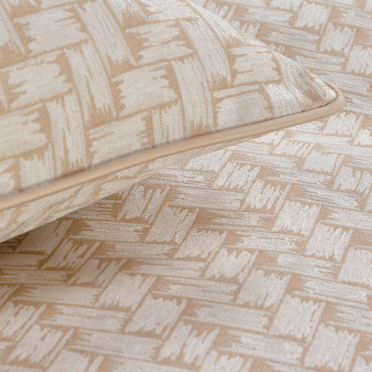 Pattern of Celso de Lemos Twined Collection in Powder Color