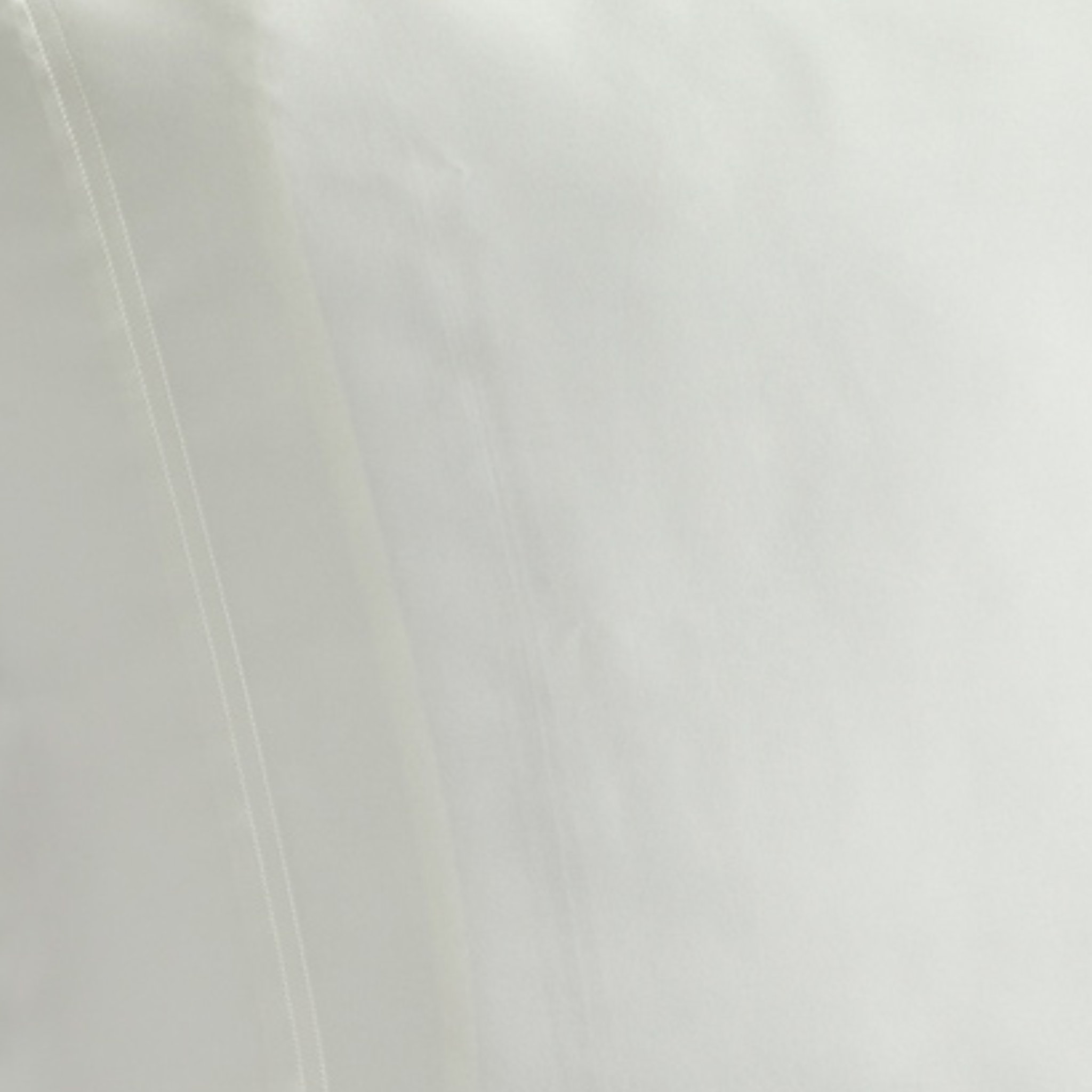 White company silk sales pillowcase