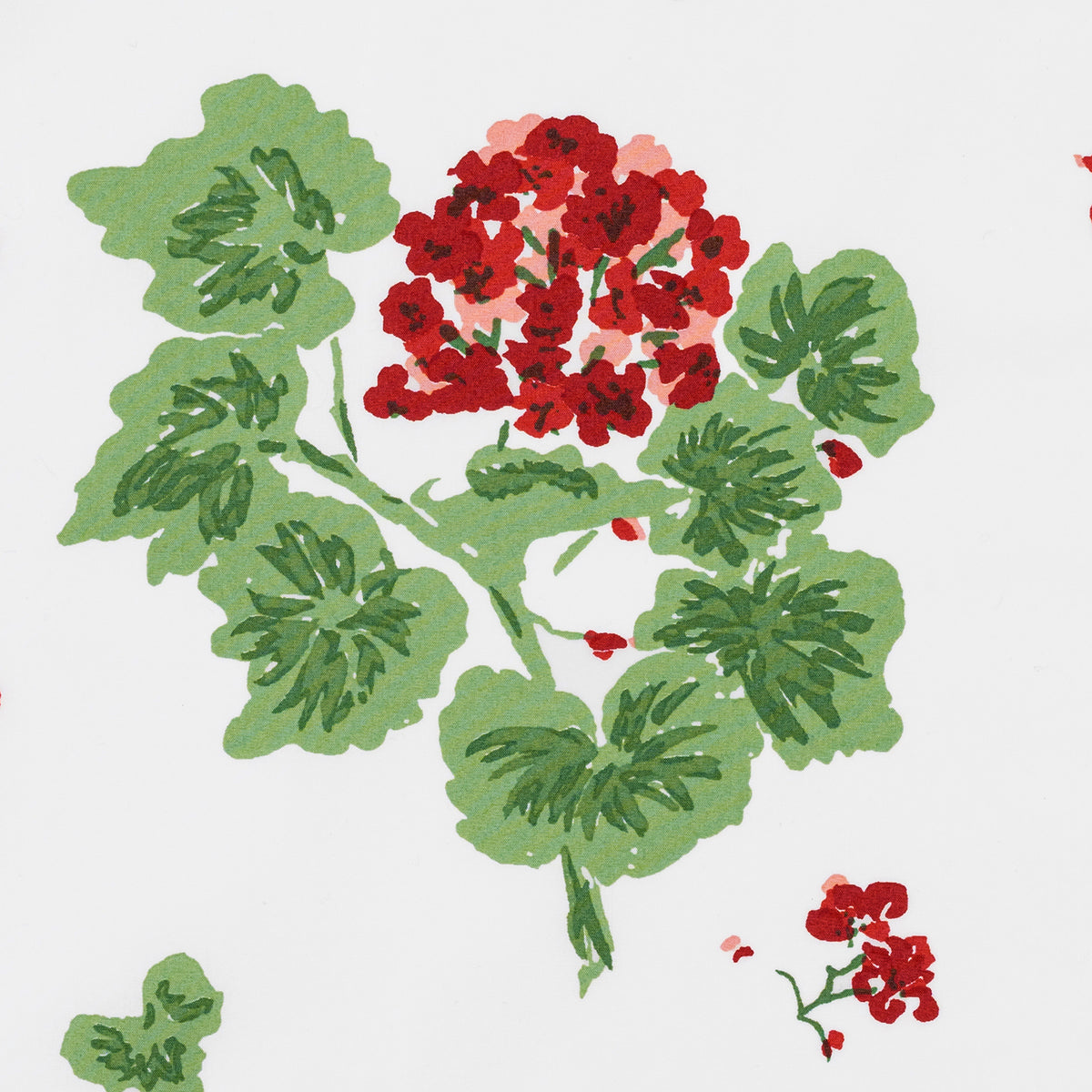 Illustration of red flowers with green leaves on a white background