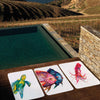 Graccioza Turtle Beach Towel featured image