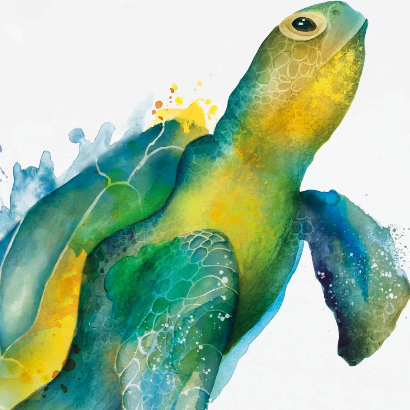 Lifestyle Shot of Graccioza Turtle Beach Towel