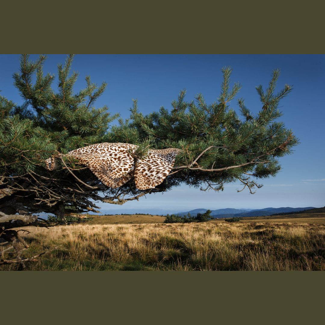 Abyss Habidecor Feline Bath Rug - lifestyle image in tree