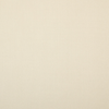 Solid Beach swatch image