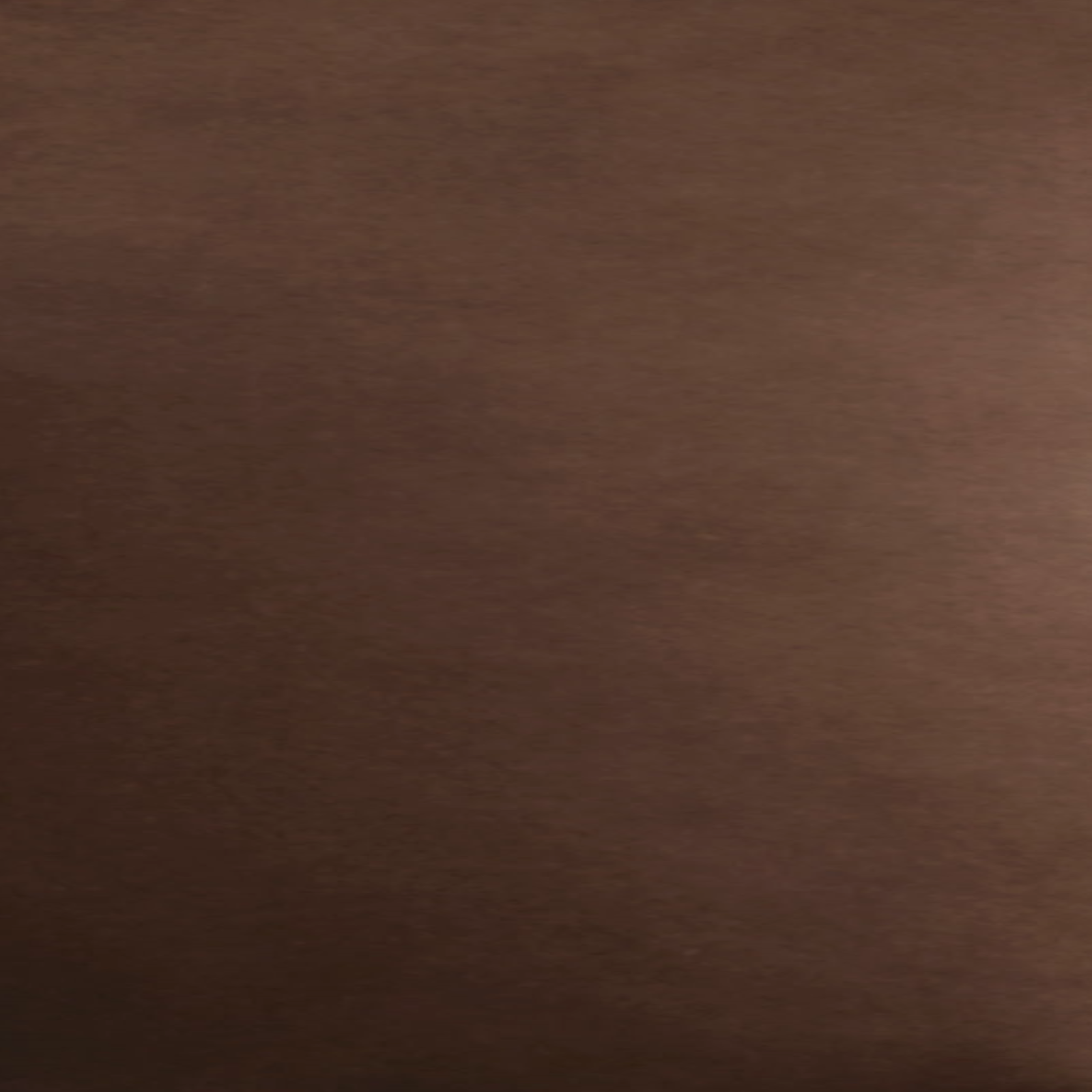 Shams of Home Treasures Velveteen Bedding with Chocolate Swatch