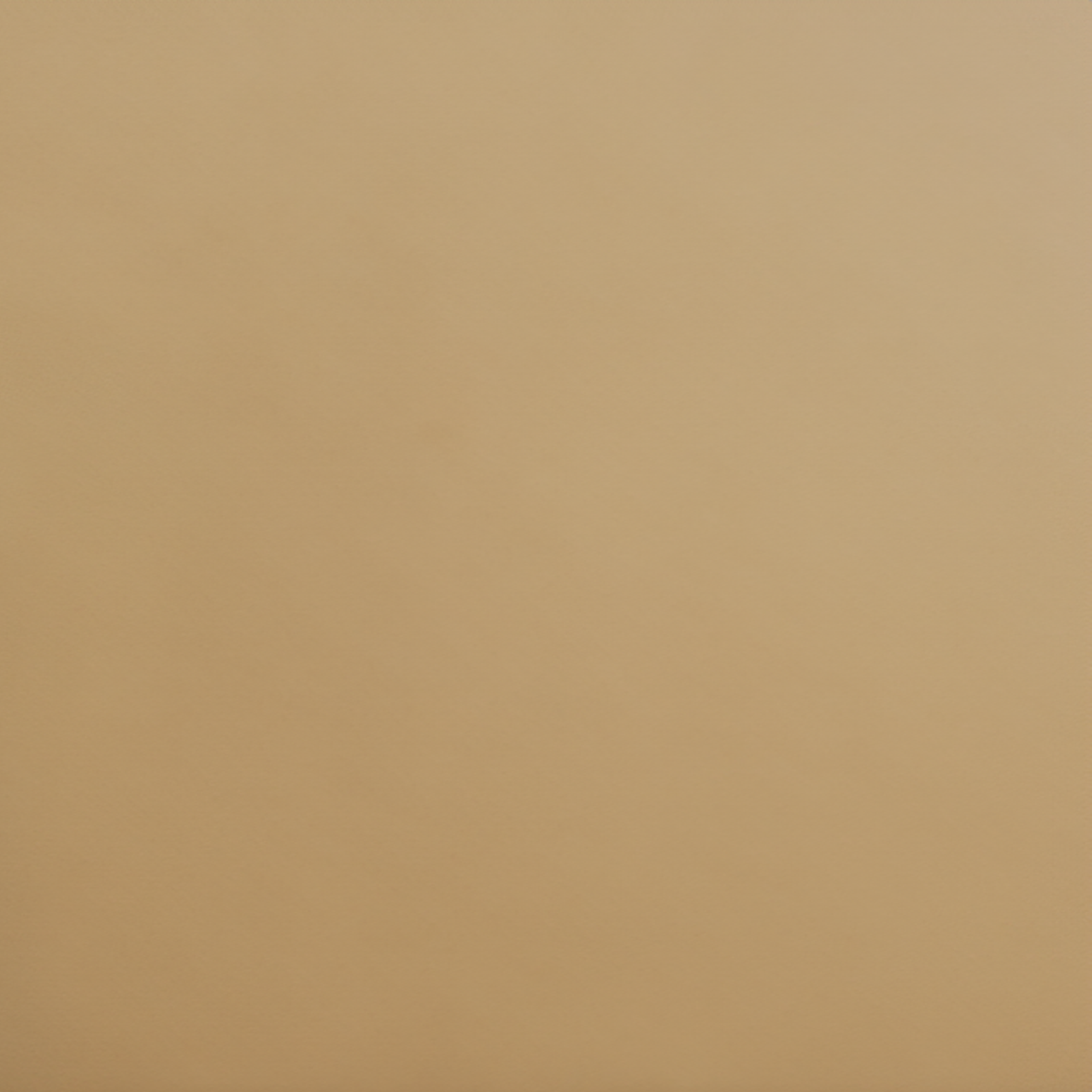 Shams of Home Treasures Velveteen Bedding with Sempione Swatch