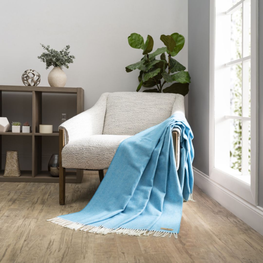 Light blue throw blanket draped over a chair in a room with a bookshelf and plants.