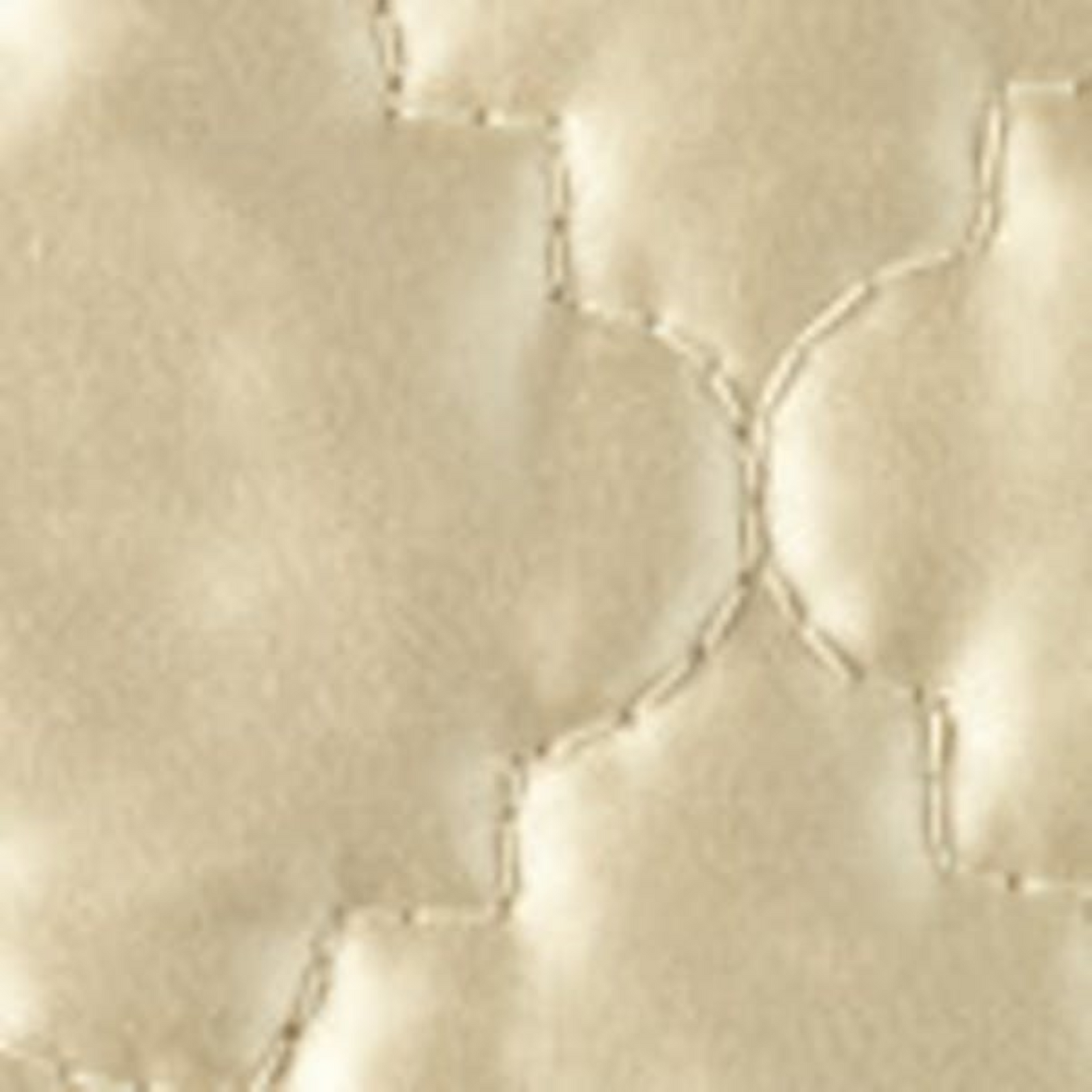 Matouk Ava Bedding Collection Main Champagne Fine Linens