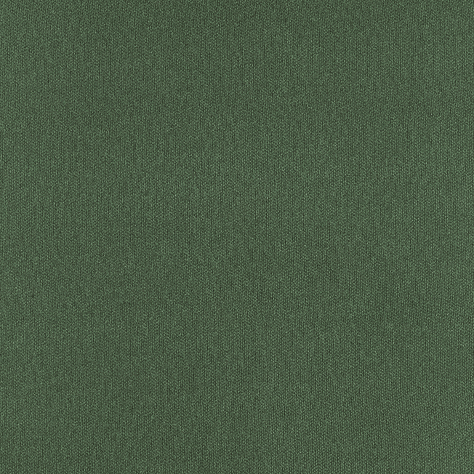 Matouk Dream Modal Bedding in Ivy