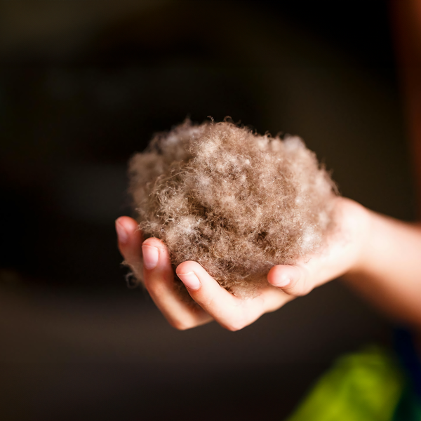 Matouk Edelweiss Eiderdown Silk Pillow Medium High End Pillows