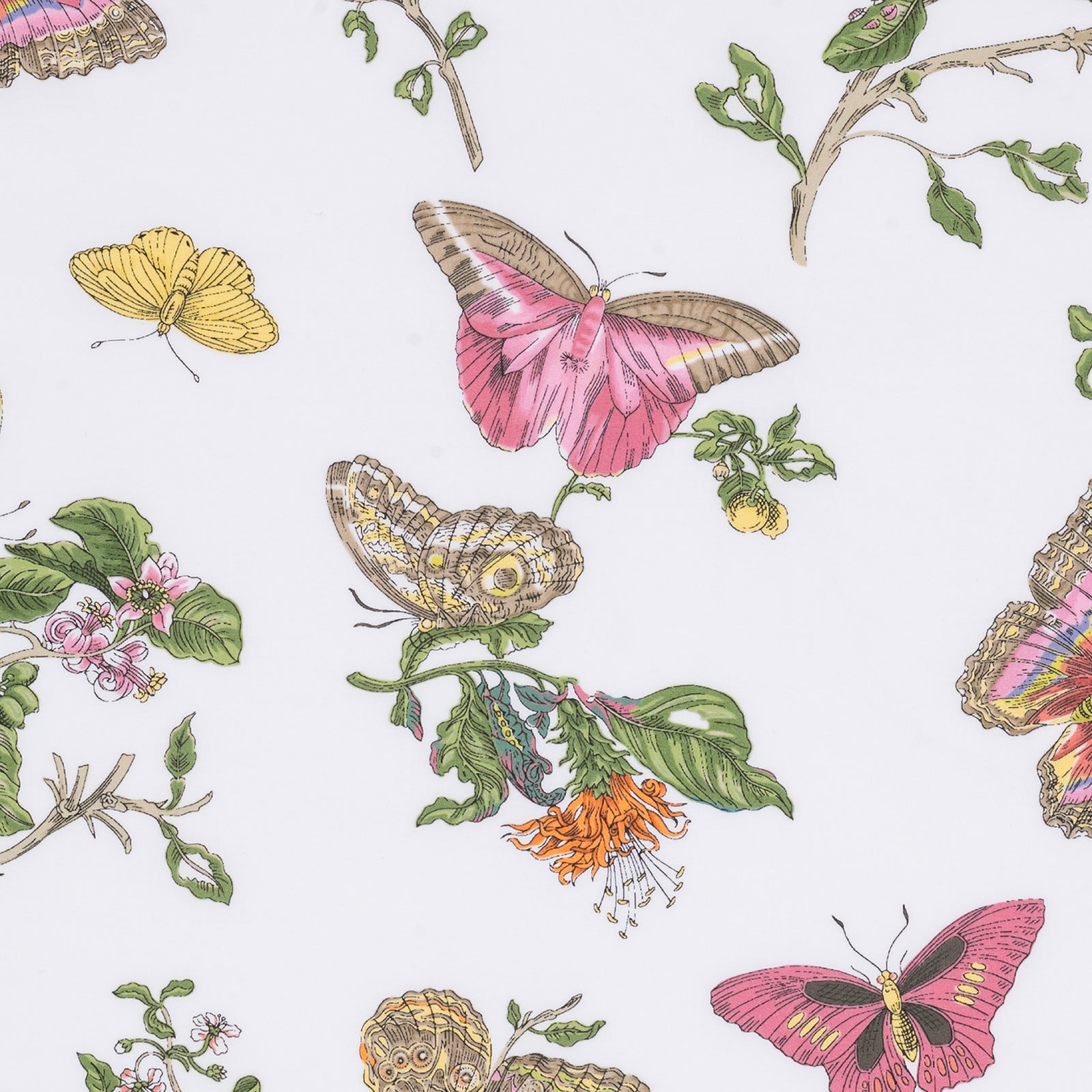 Bed in Matouk Schumacher Baudin Butterfly Bedding in Pink