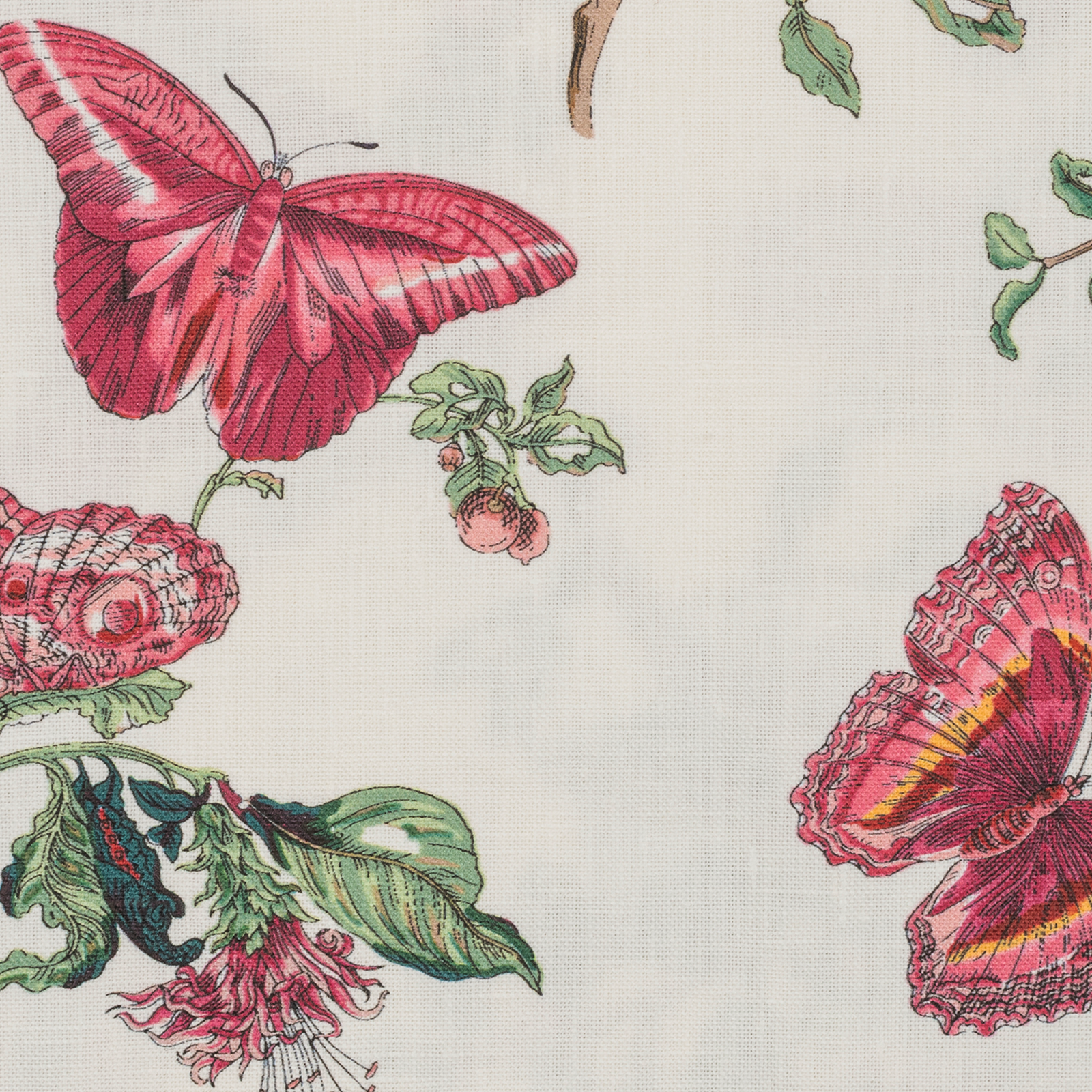 Model fixing Matouk Schumacher Baudin Butterfly Table Linens in Ruby
