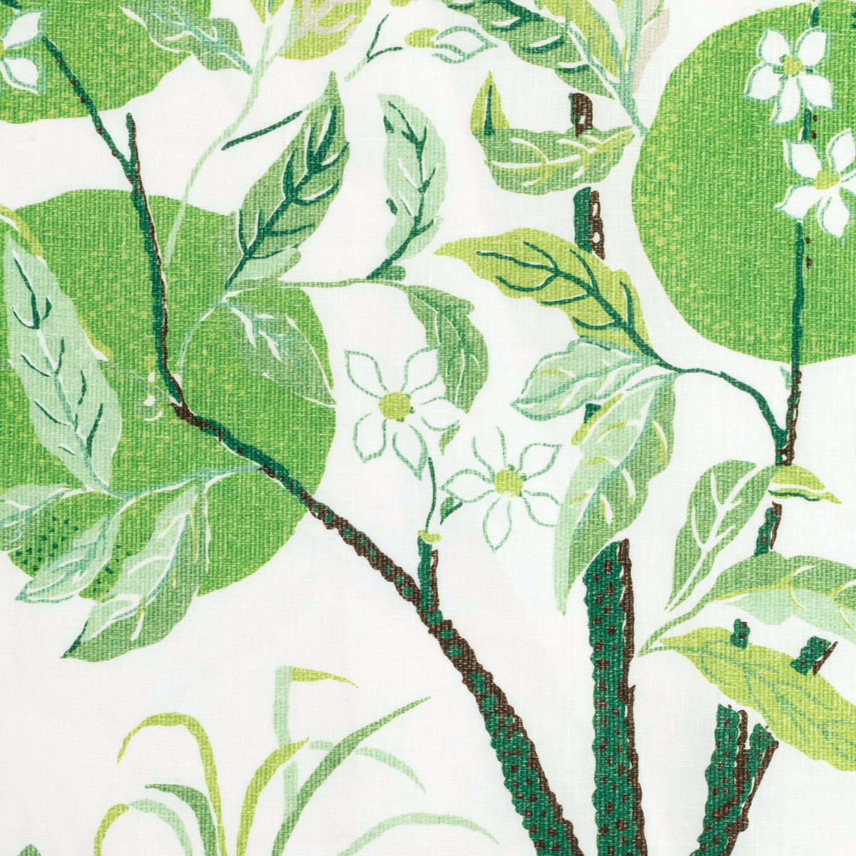 Swatch of Matouk Schumacher Citrus Garden Table Linens in Grass Color