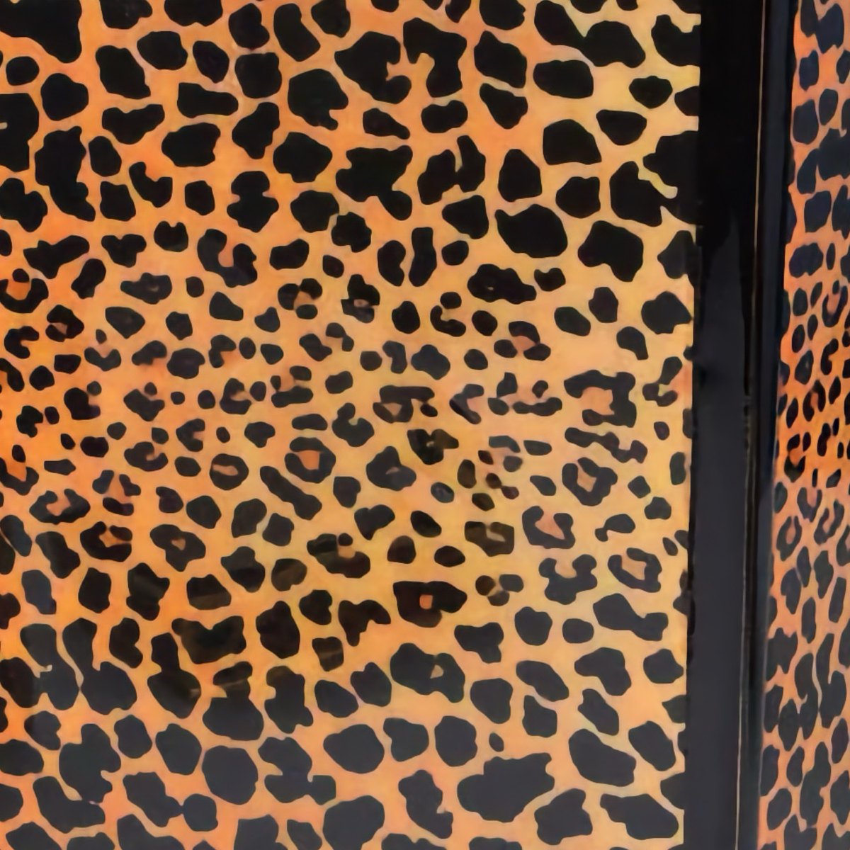 Closeup of Mike and Ally Congo Bath Accessories in Black and Gold colors
