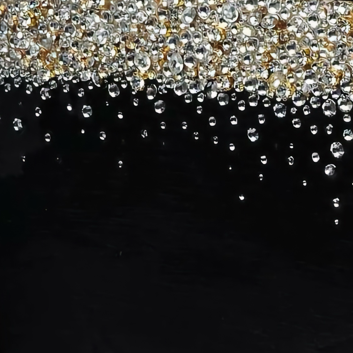 Close-up of Mike and Ally Duchess Bath Accessories Black