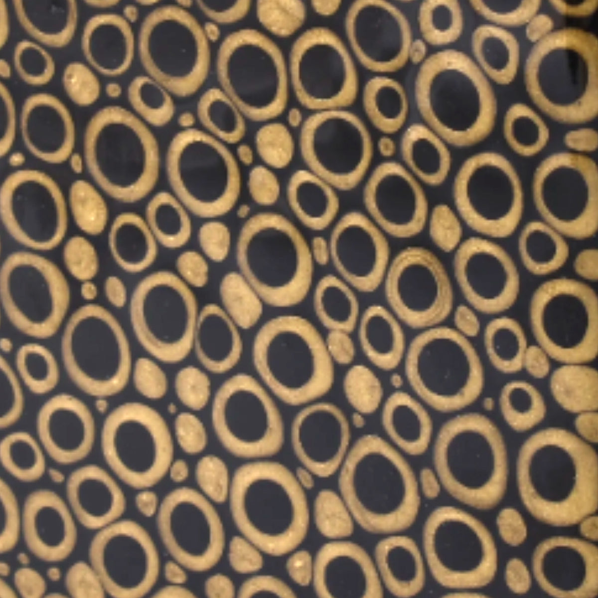 Closeup of Mike and Ally Texel Bath Accessories in Black and Gold colors