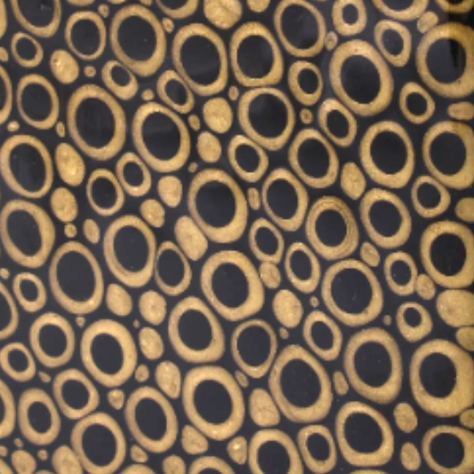 Set of Mike and Ally Texel Bath Accessories in Black and Gold colors