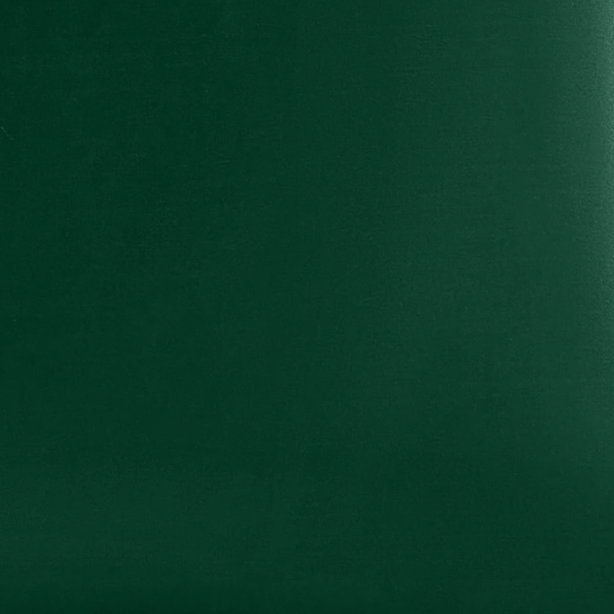 Mulberry Park Silks 22 Momme Silk Pillowcase - Eden Green