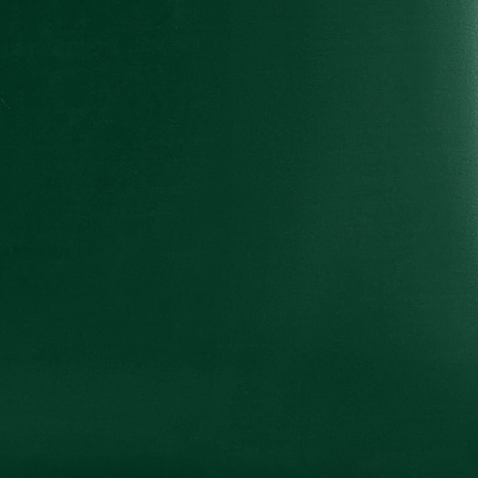 Eden Green 22 Momme 100% Silk Pillowcase by Mulberry Park Silks with luxurious, Smooth Feel