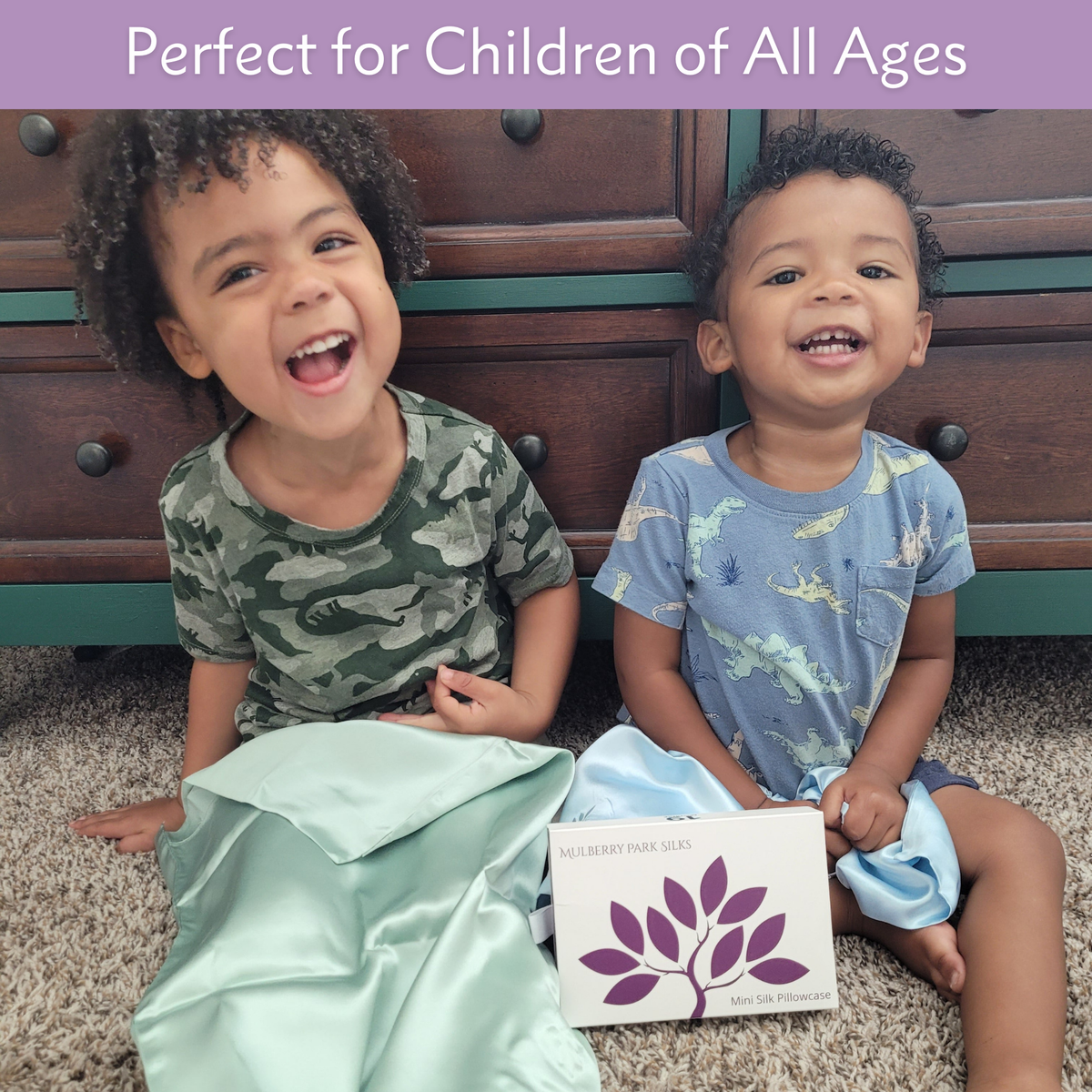 Mulberry Park Silks Pure 19 Momme Silk Toddler Pillowcase - Sleepy Silver