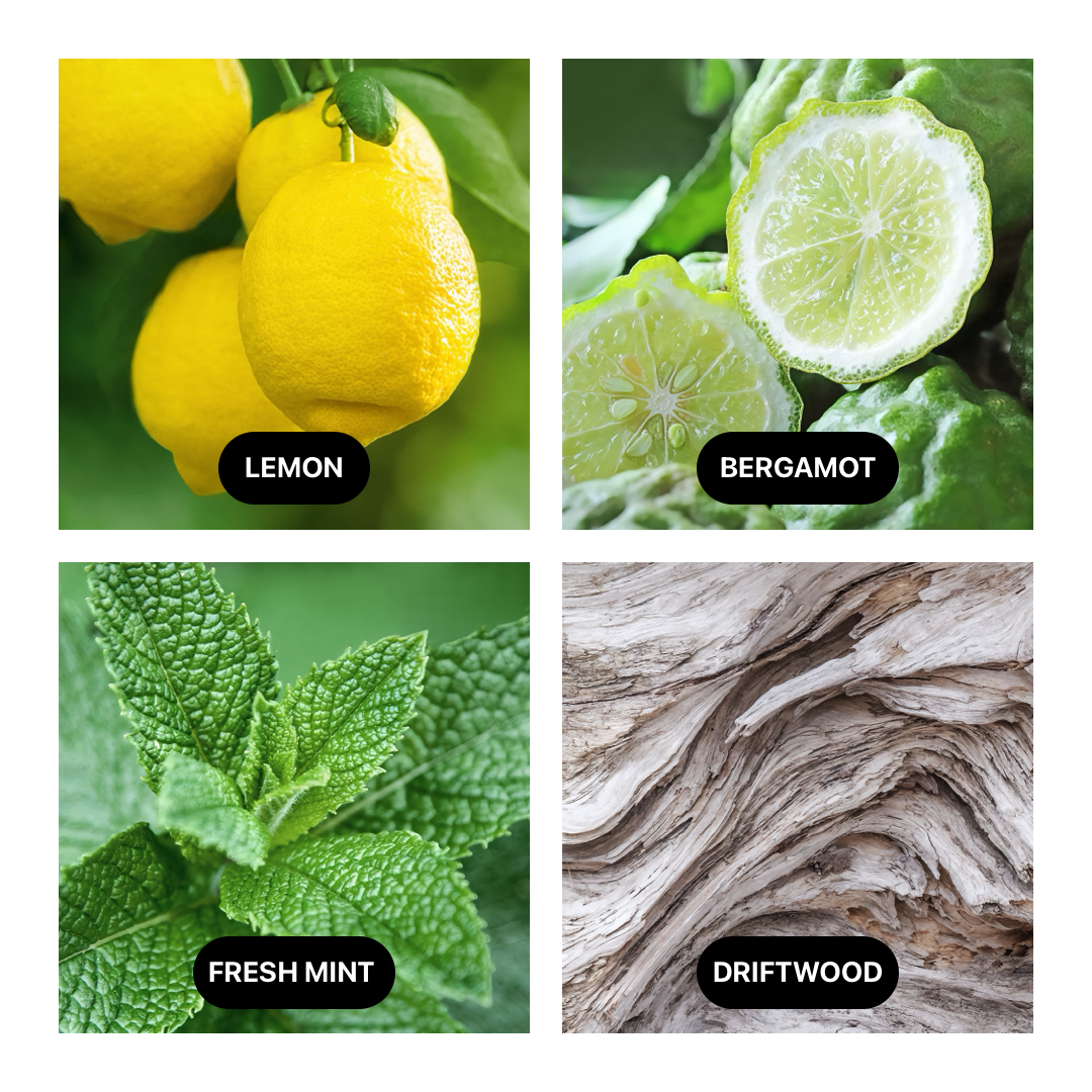 Key Note Scents of Nest New York Amalfi Lemon and Mint Candle