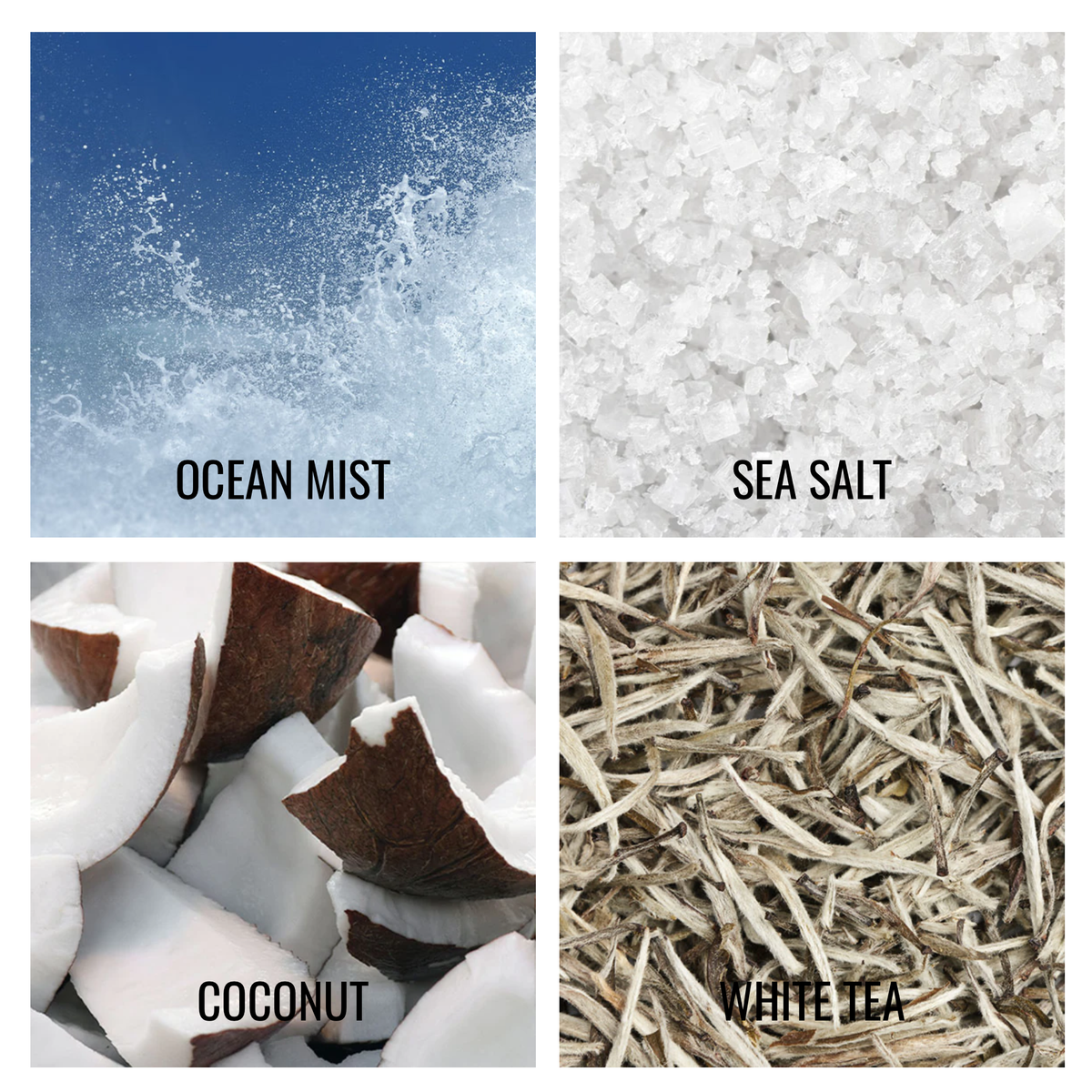 Collage of Keynotes of Nest New York Ocean Mist &amp; Sea Salt Scents