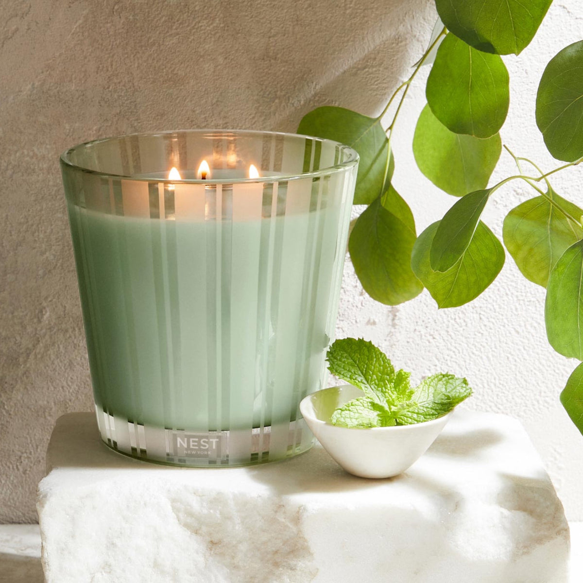 Lifestyle of Nest New York Wild Mint &amp; Eucalyptus Candle 3-Wick Candle