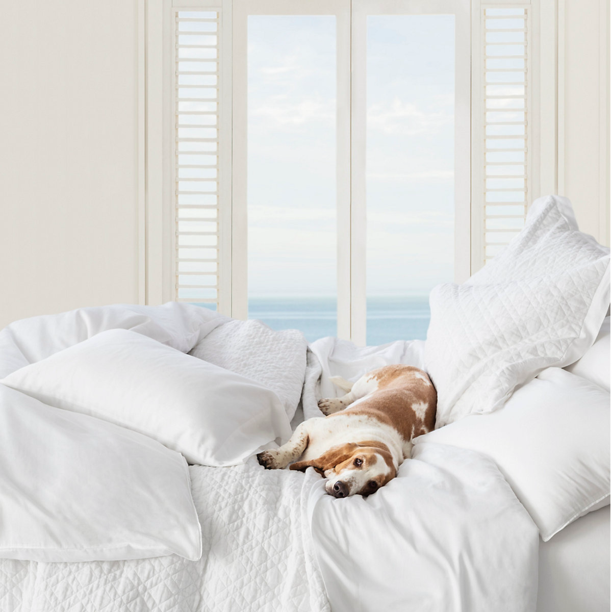 Dog Relaxing on White Pine Cone Hill Essential Sateen Bedding