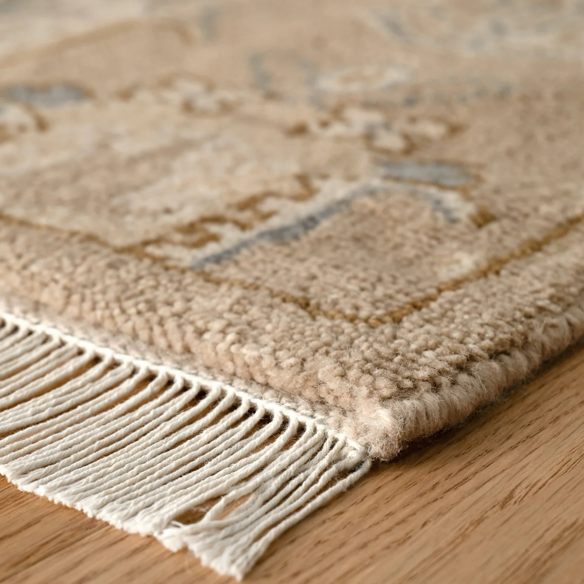 Fringe Detail of Pine Cone Hill Masterpiece Rug Collection in Ashby Design