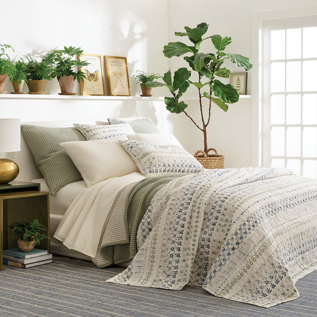 Bed Dressed in Evergreen Pine Cone Hill Pick Stitch Matelassé Coverlet &amp; Shams with Coordinates 