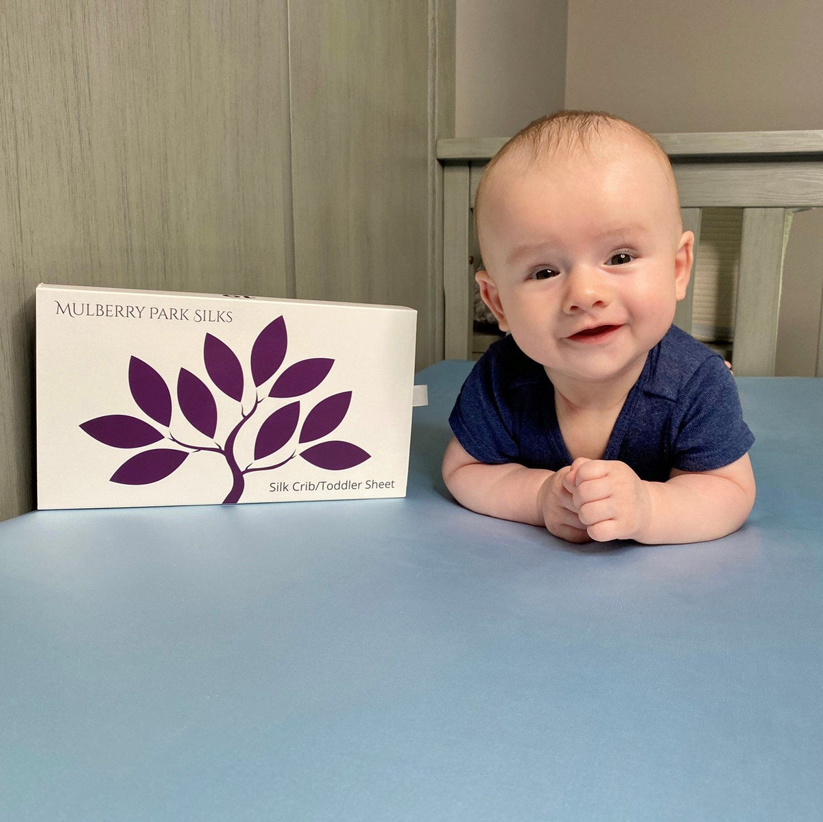 Mulberry Park Silks Silk Crib & Toddler Fitted Sheet with Giftbox