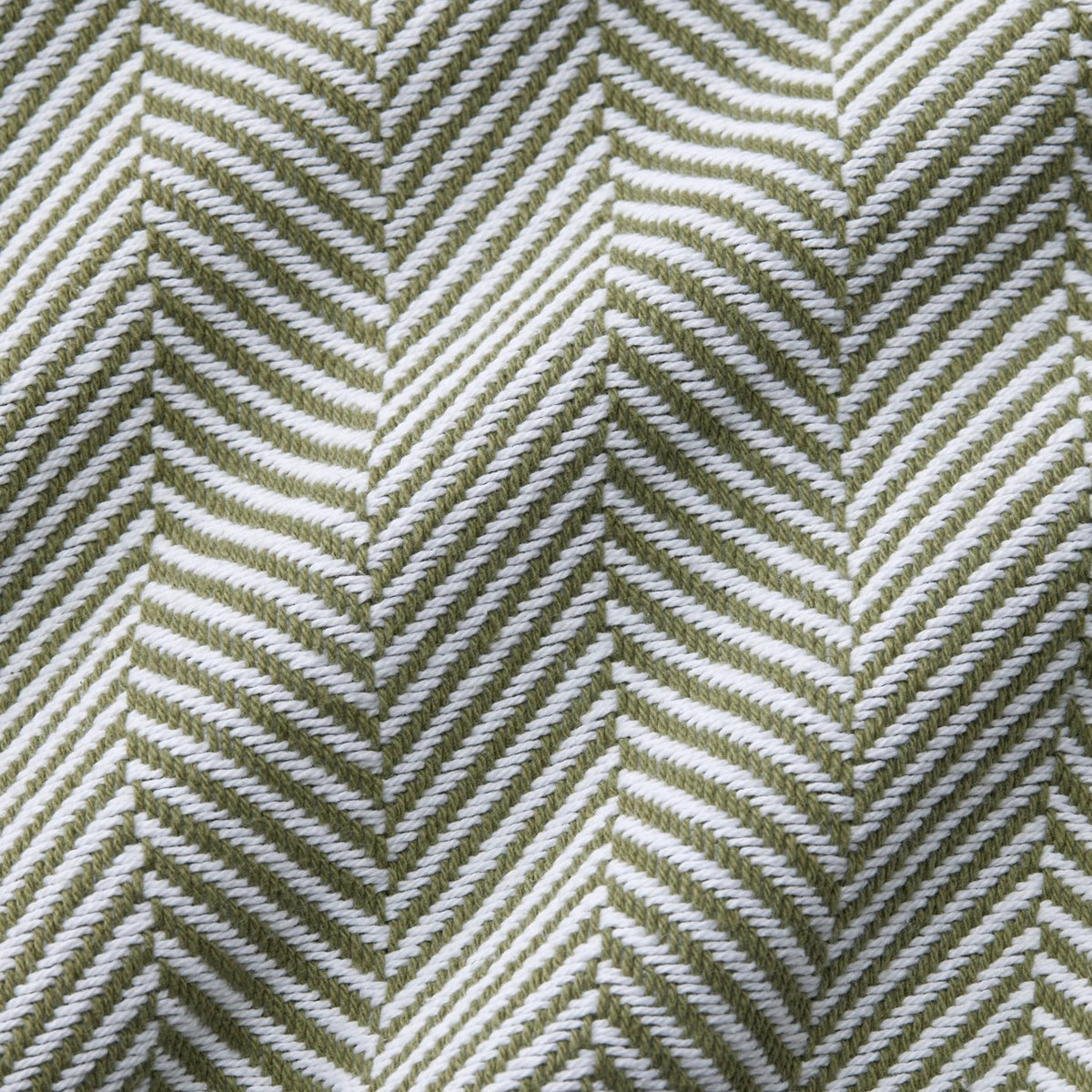 Swatch Sample of Sferra Camilo Blanket in White/Willow