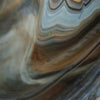 Bark swatch