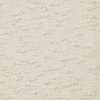 Ivory swatch