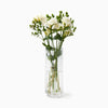 Sferra Minerva Vase - Clear featured image