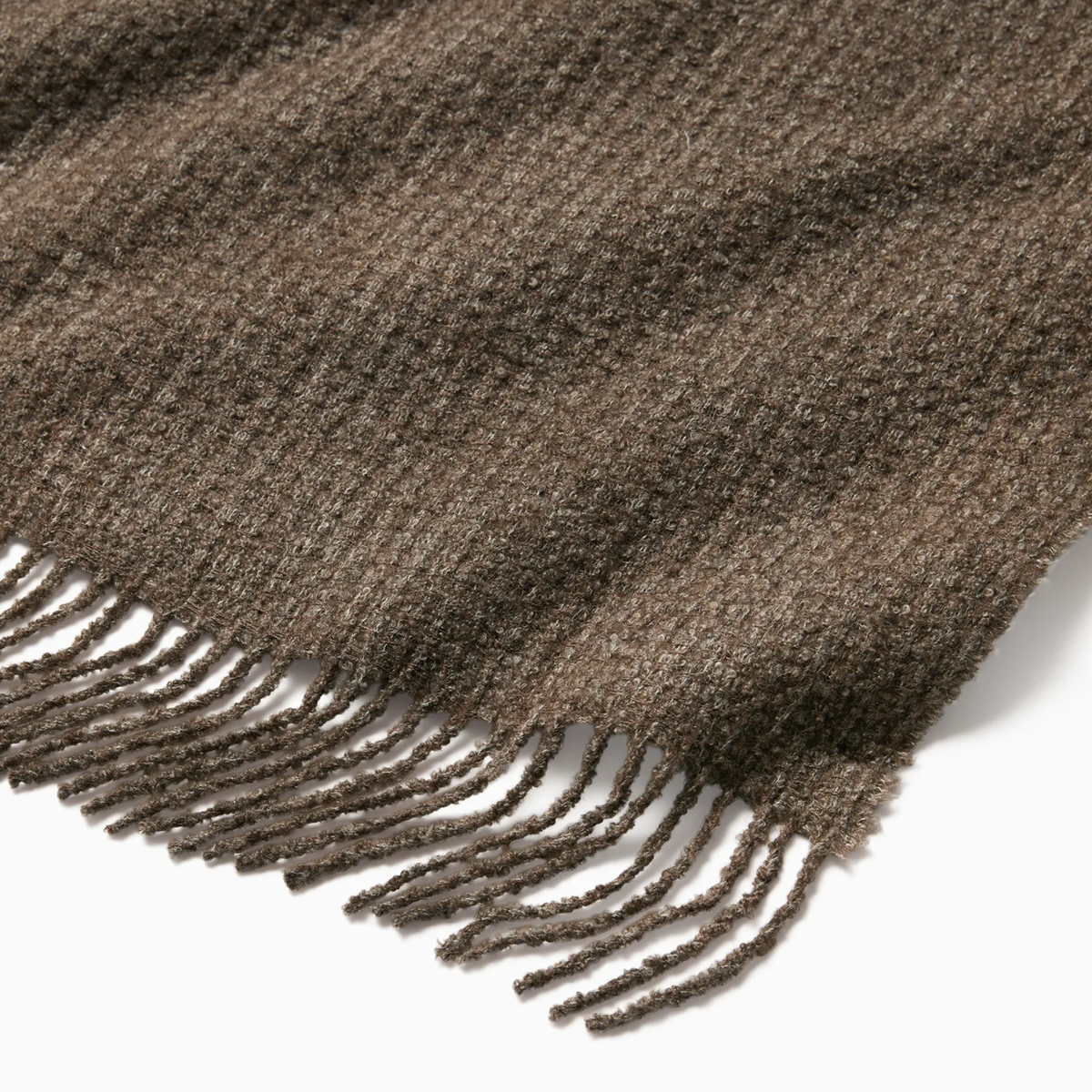 Detailed View of Sferra Terranova Throw in Khaki color