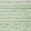 Apple swatch