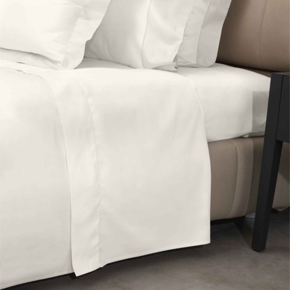 Flat Sheet of Signoria Gemma Bedding in Ivory Color