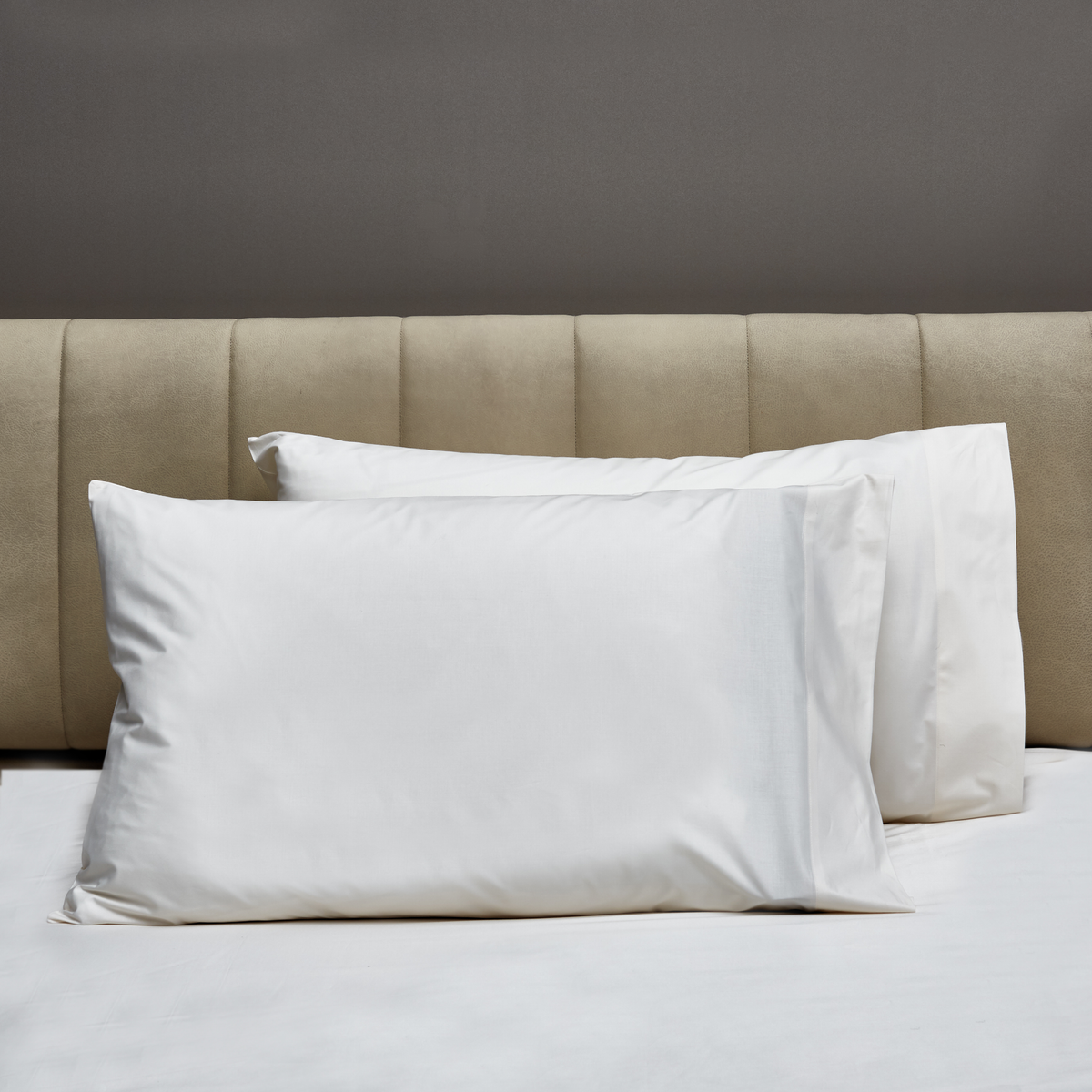 Pair of Pillowcases of Signoria Gemma Bedding in White Color