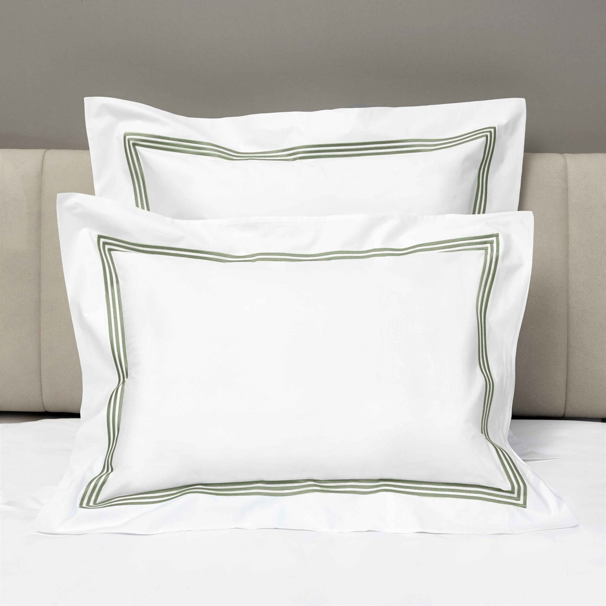 Shams of Signoria Platinum Percale Bedding in White/Olive Green Color