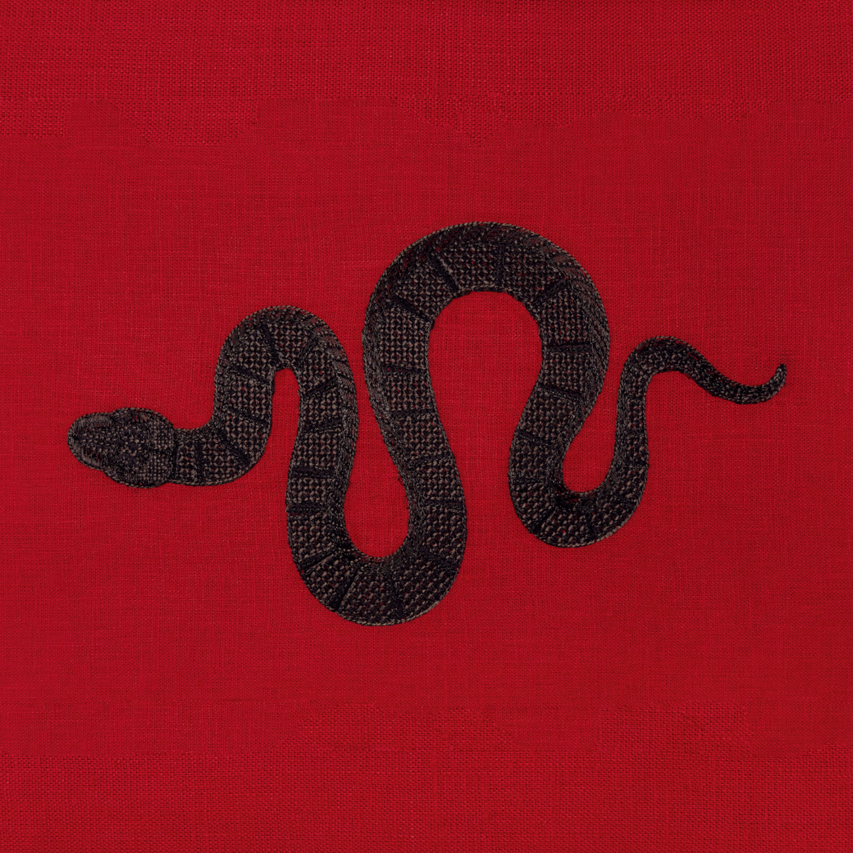 Closeup of Sferra Year of the Snake Decorative Pillow in Color Red/Black