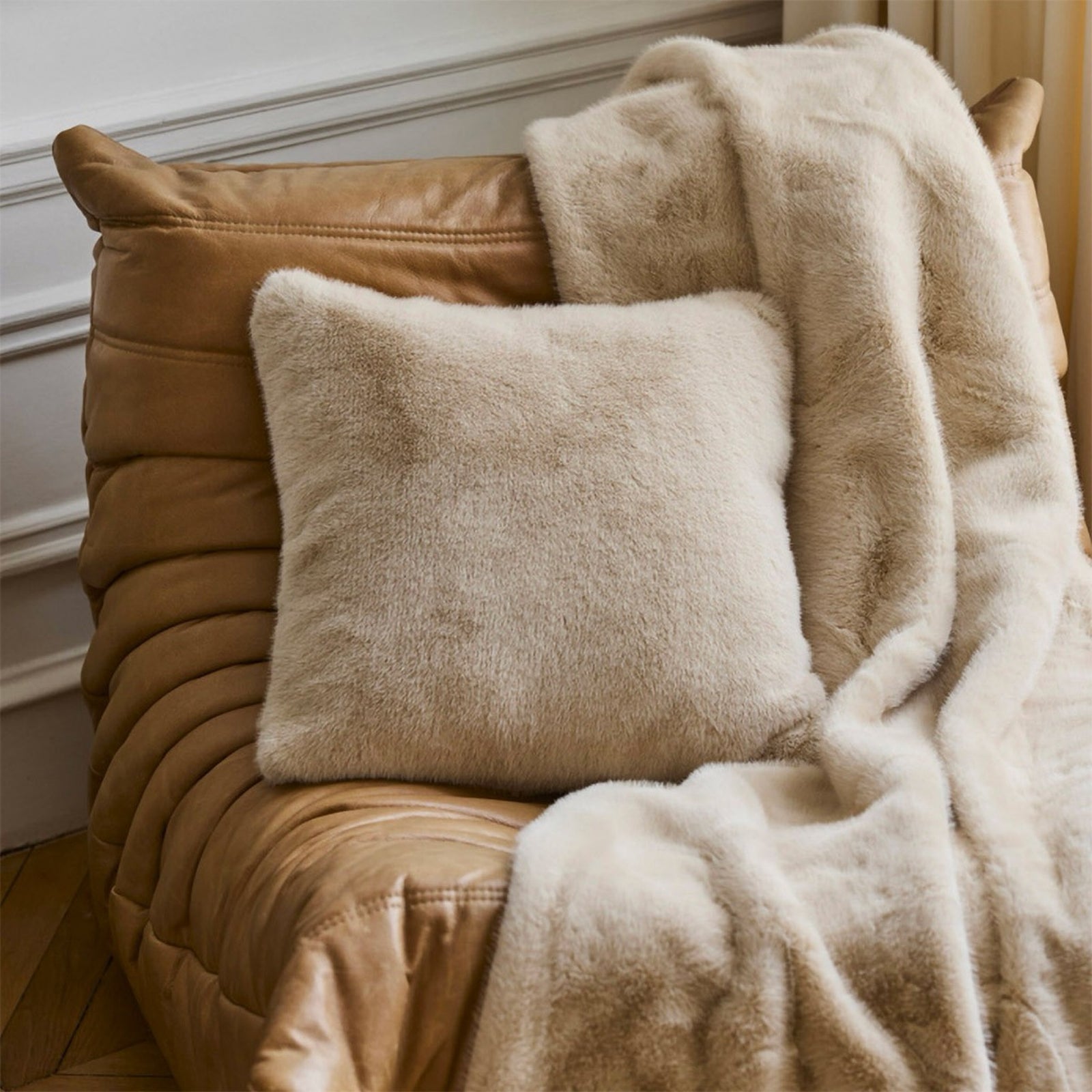 Noisett...