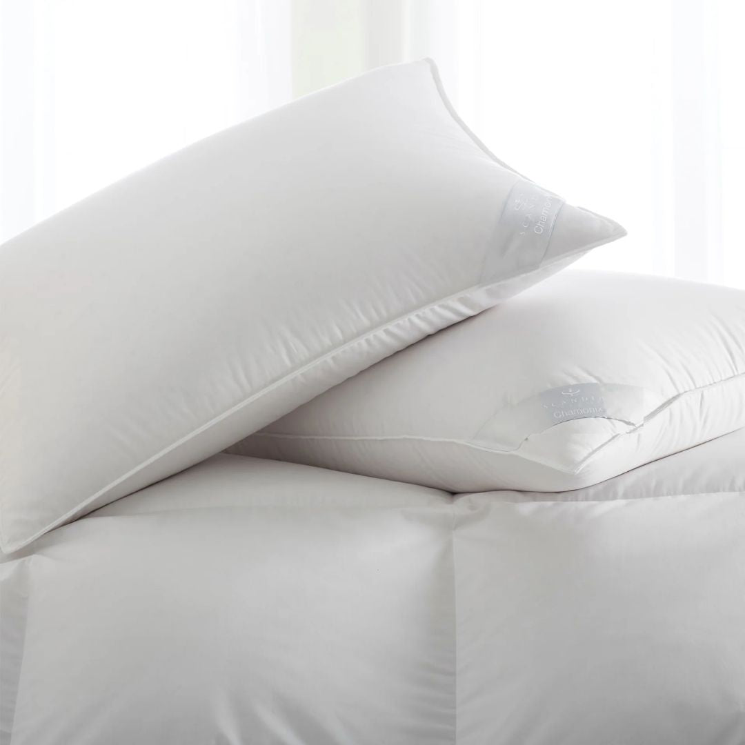 Two Chamonix pillows rest on a white comforter in front of sheer, light-filled curtains.