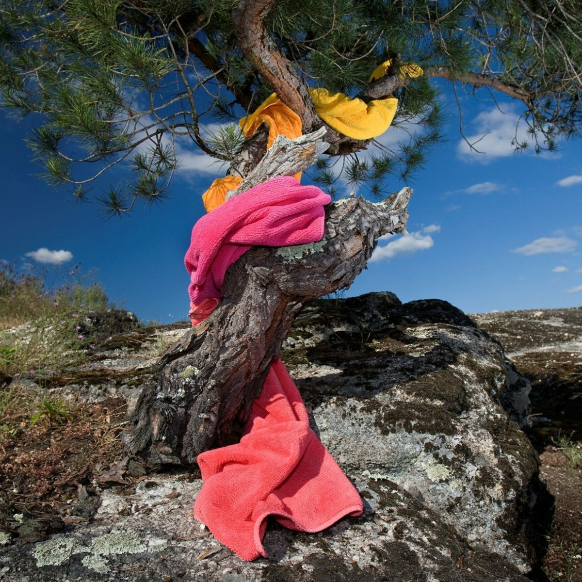 Abyss Twill Bath Towels On Tree Ivory Fine Linens