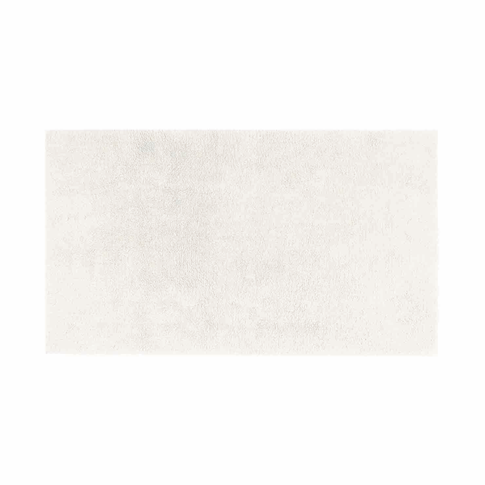 Snow Color Graccioza Plain Egoist Bath Rug against a White Background